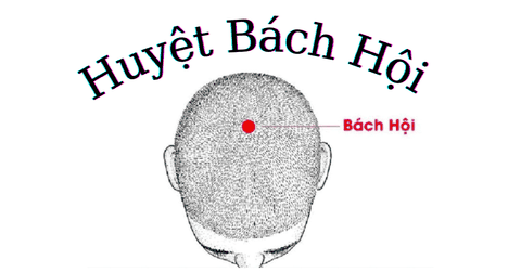 Tìm hiểu về huyệt bách hội ở đâu và cách xác định vị trí huyệt bách hội