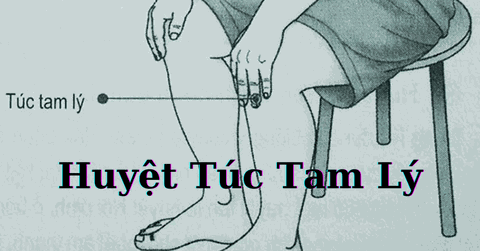 Huyệt Túc Tam Lý là gì và tác dụng của huyệt này trong điều trị bệnh như thế nào?