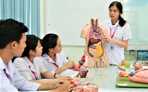 Tại sao nên theo đuổi ngành y? Học y nên chọn ngành nào?