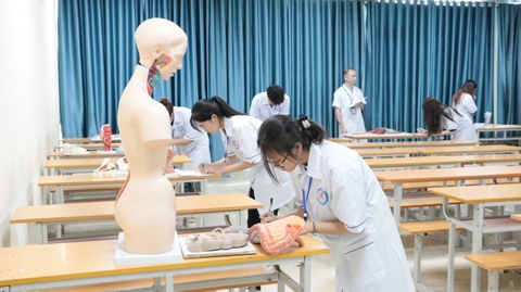 Y sĩ đa khoa là gì, có nên học ngành y sĩ đa khoa? Chứng chỉ y sĩ đa khoa học ở đâu thì tốt?