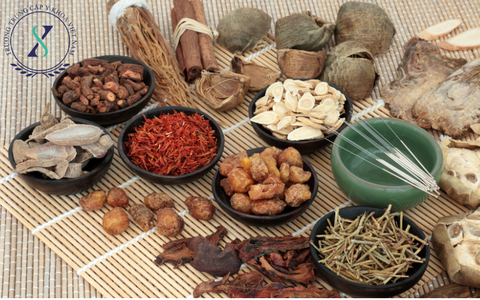 Bệnh Học Y học cổ Truyền - Khám Phá Các Khái Niệm Cơ Bản