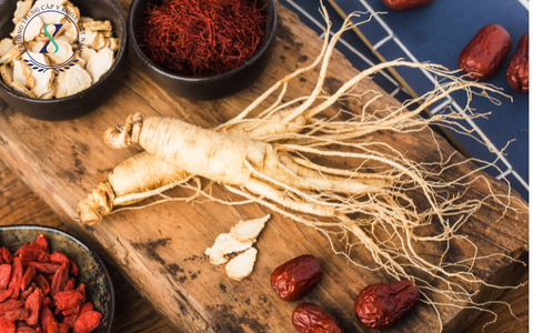  Dược Liệu Cổ Truyền Và Ứng Dụng Điều Trị Một Số Bệnh Cơ Bản