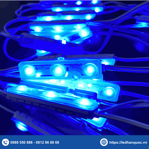 Module LED 3 bóng NC-ECO3S-LW2-BLUE (chip LED TC2835)