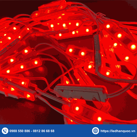 Module LED 3 bóng NC-ECO3S-LW2-RED (chip LED TC2835)