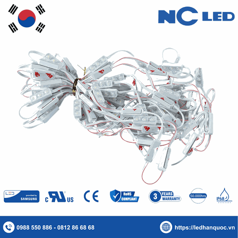 LED Module 3 bóng NC-MINI3-SS2835-12K