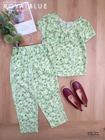 Ngố tay con mango xinh, lá xanh