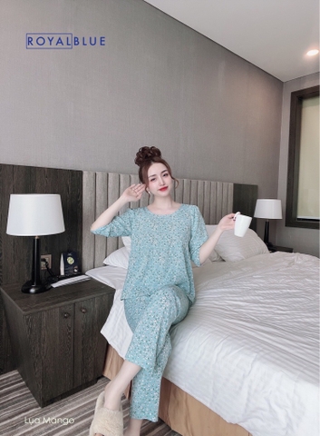 Bộ ngố bèo xanh hoa trắng