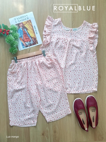 Lửng cánh tiên mango, nhí kem