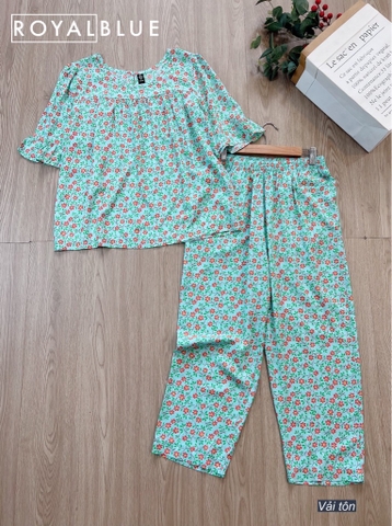 Bộ Ngố tay con tôn XN1