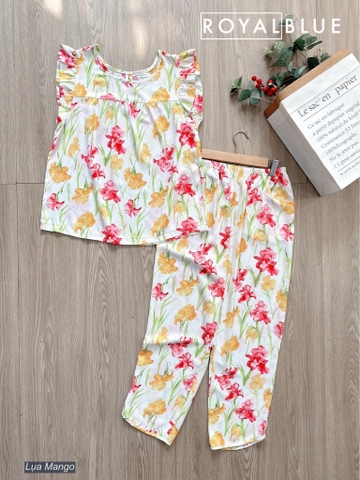 Ngố cánh tiên mango hoa đỏ vàng