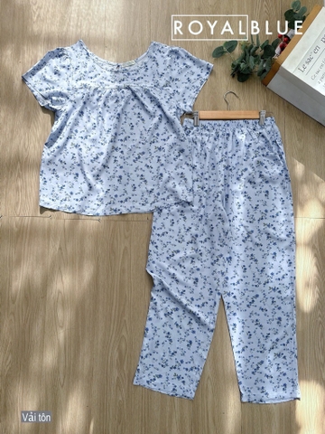 Ngố tay con vải tôn nhí hoa xanh