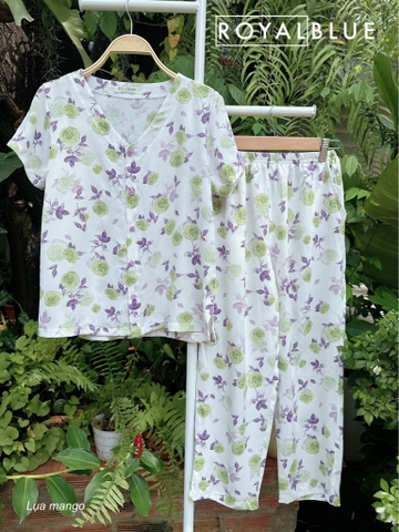 Ngố cổ tim mango tím hoa