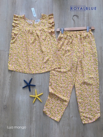 Ngố cánh tiên vàng hoa tím