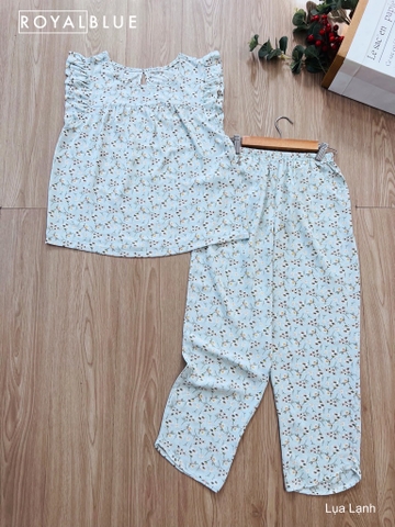 Ngố cánh tiên xanh nhạt