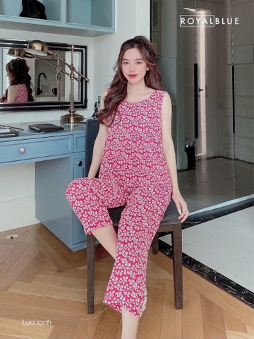 Bộ ngố bèo đỏ lá trắng