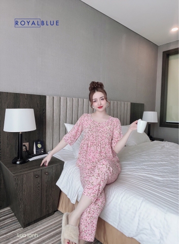 Bộ ngố bèo hồng hoa nhí
