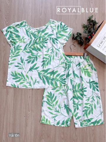 Lửng tay con tôn, lá xanh trắng