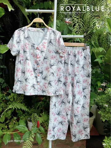 Ngố cổ tim mango hồng hoa