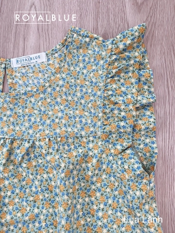 Ngố cánh tiên trắng hoa xanh