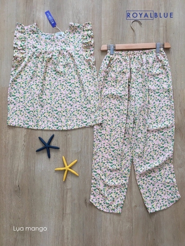 Ngố cánh tiên hồng hoa vàng