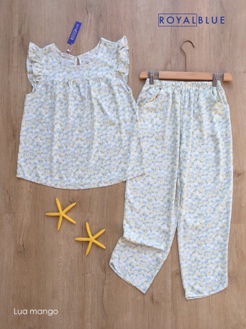 Ngố cánh tiên xanh hoa vàng