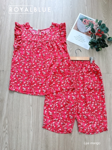 Lửng cánh tiên mango, đỏ nhí