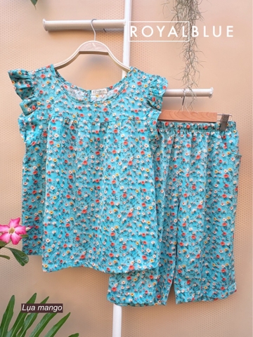 Lửng cánh tiên mango, xanh đậm