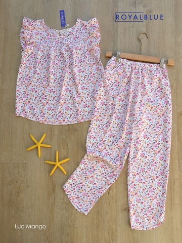 Ngố cánh tiên trắng hoa hồng
