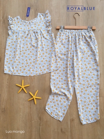 Ngố cánh tiên xanh cúc trắng