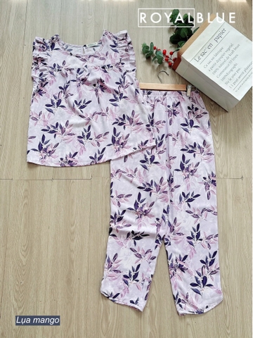 Ngố cánh tiên mango, tím hoa