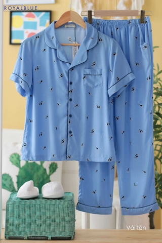 Dài pijama xanh mèo