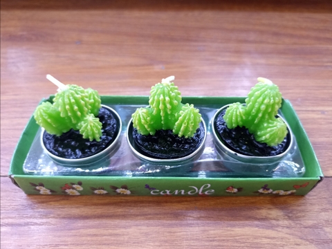 Vỉ nến cây các hình