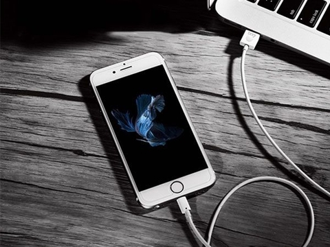 Cáp sạc Lightning Bagi dài 1m IB100