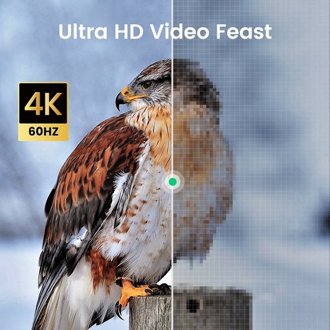 https://chube.vn/cap-chuyen-micro-hdmi-type-d-sang-hdmi-type-a-ugreen-hd127