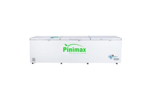 Tủ đông Pinimax 1 ngăn 900 lít PNM119AF