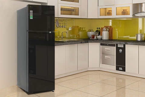 Tủ Lạnh LG Inverter 266 Lít T26BG