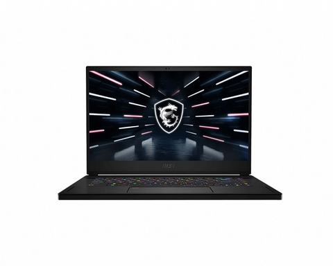 Laptop MSI Stealth GS66 10SE 213VN - màn hình