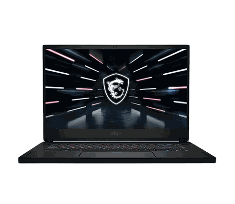 Msi stealth gs66 - màn hình