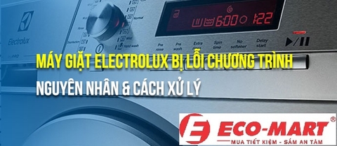 Lý do máy giặt Electrolux bị lỗi chương trình