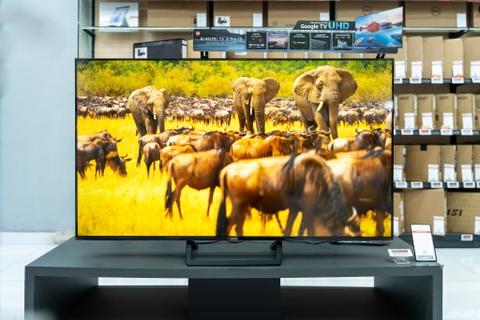 Tư vấn chi tiết Google Tivi Xiaomi L65M8-A2SEA A Pro 4K 65 Inch