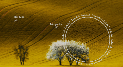 Công nghệ 4K AI Upscaling trên TV LG: Ưu điểm và Nhược điểm