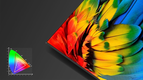 Các công nghệ hình ảnh trên Tivi TCL