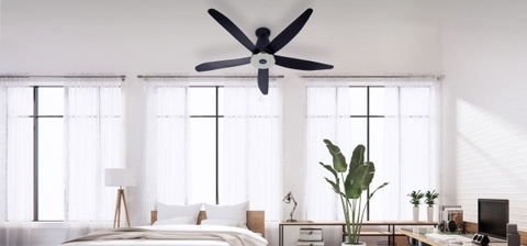 Điểm nổi bật của quạt trần Panasonic F-60XDN là gì?