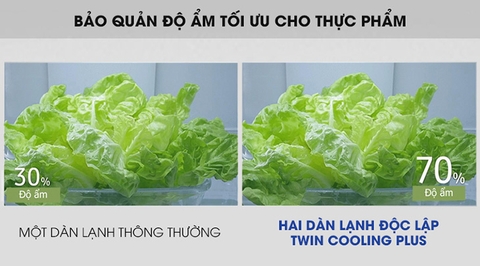Twin Cooling Plus - Công nghệ hai dàn lạnh trên tủ lạnh Samsung