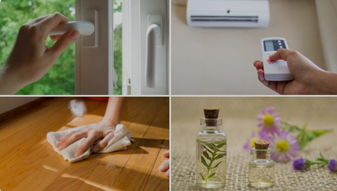 TOP 5 Cách Chống Ẩm Hiệu Quả Trong Nhà Làm Đơn GIẢN Ai Cũng Cần