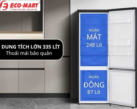 Tủ lạnh LG 2 cánh LBB33BGMAI và những điểm không thể bỏ lỡ