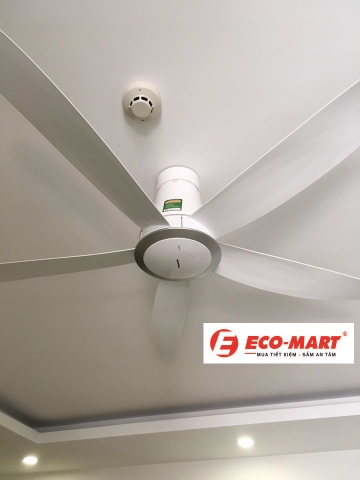 Đánh Giá Ưu Nhược Điểm Quạt Trần Panasonic Inverter F60TDN