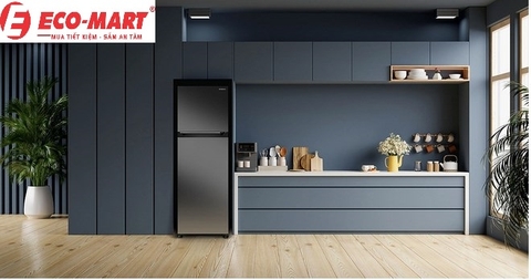 Đánh giá chi tiết: Tủ lạnh Hitachi 2 cánh Inverter 260 lít HRTN5275MFUVN 2024