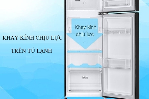 Khay kính chịu lực trên tủ lạnh và những lợi ích đặc biệt