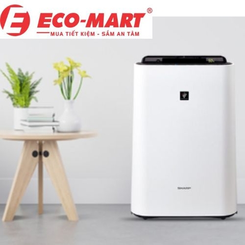 Lợi ích của việc sử dụng máy lọc không khí vào mùa đông